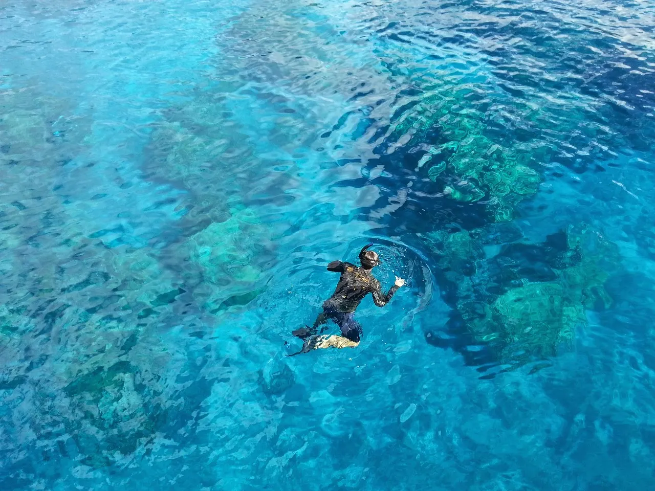 Snorkeler over a shallow sunlit coral reef in the Florida Keys